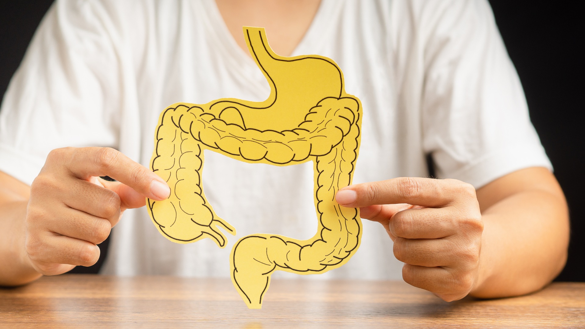 IL MICROBIOTA INTESTINALE: COS’È, PERCHÉ È COSÌ IMPORTANTE E COME PRENDERSENE CURA